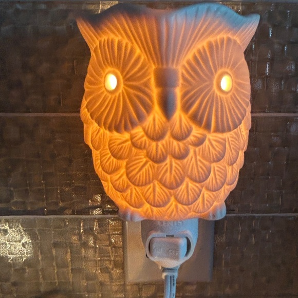 Scentsy Whoot Warmer Owl Set - Picture 4 of 4